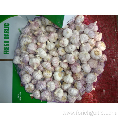 Best Quality New Crop Fresh Garlic